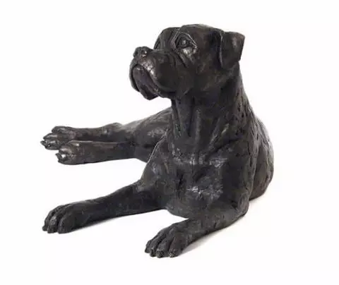 Boxer dog urn hot sale